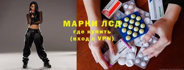 сатива Гусев