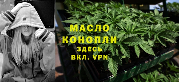 сатива Гусев