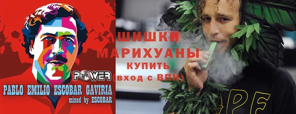 сатива Гусев