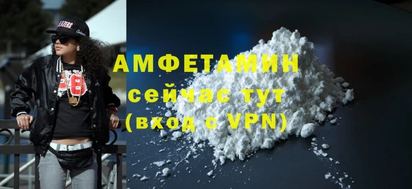 сатива Гусев