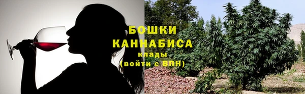 сатива Гусев